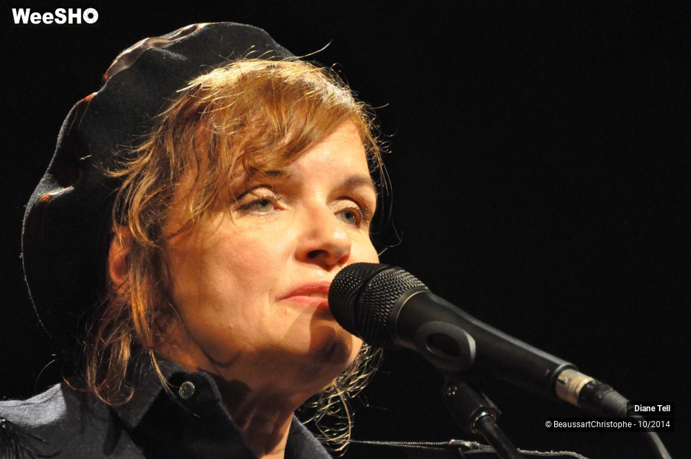 31/31 photos du spectacle Diane Tell