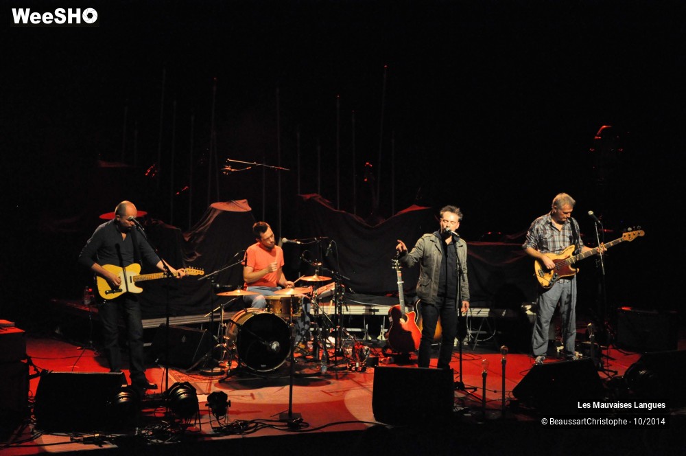 18/37 photos du spectacle Les Mauvaises Langues
