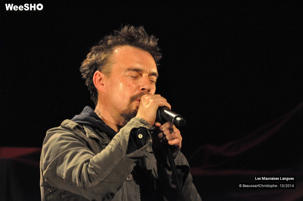 23/37 photos du spectacle Les Mauvaises Langues