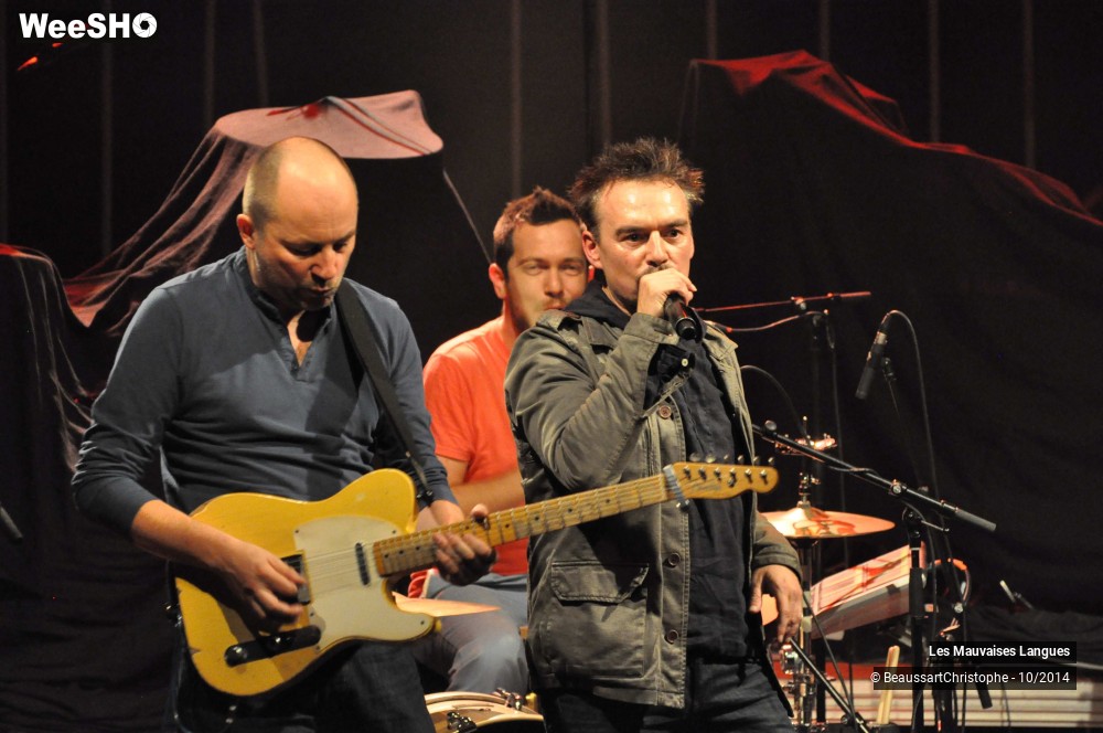 28/37 photos du spectacle Les Mauvaises Langues