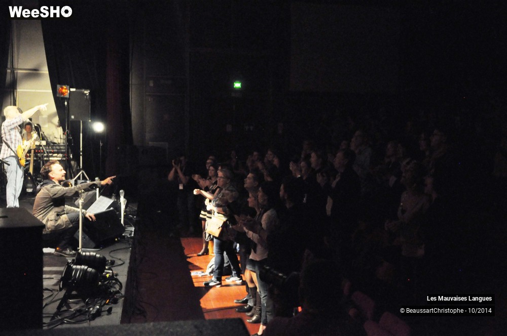 29/37 photos du spectacle Les Mauvaises Langues