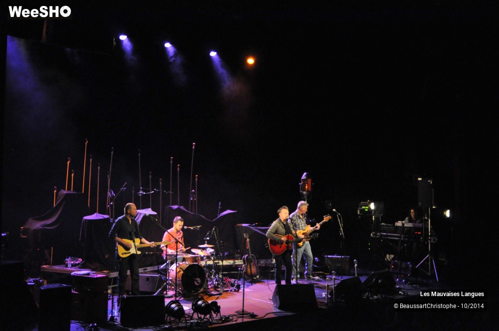 30/37 photos du spectacle Les Mauvaises Langues