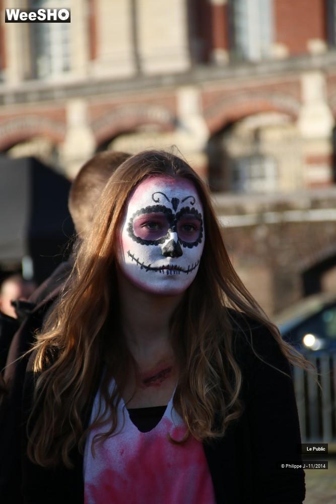 40/46 photos du spectacle Zombie Walk 2014 2