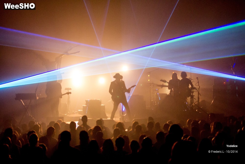 24/29 photos du spectacle Yodelice