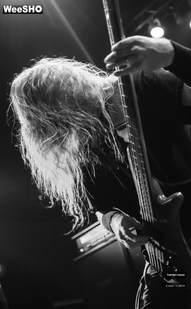16/26 photos du spectacle Cannibal corpse