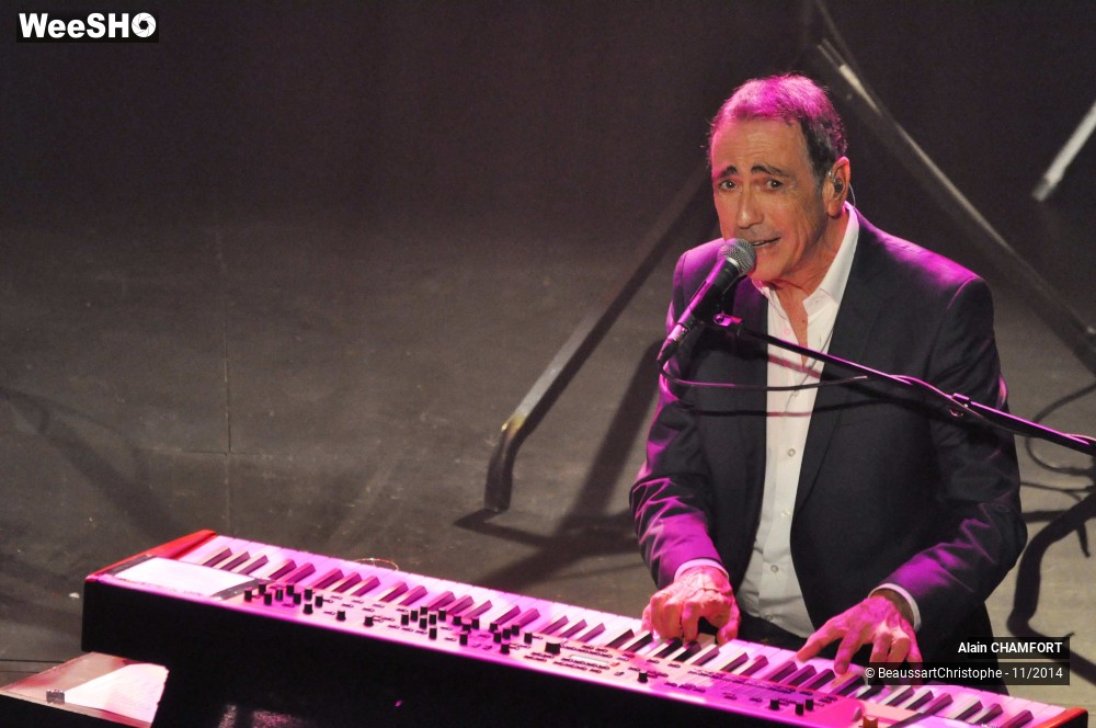 15/38 photos du spectacle Alain Chamfort