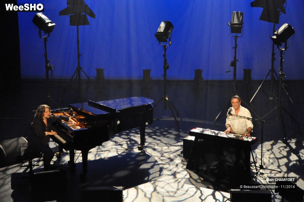 21/38 photos du spectacle Alain Chamfort