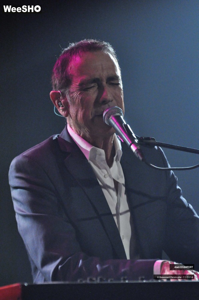 29/38 photos du spectacle Alain Chamfort