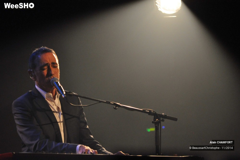 30/38 photos du spectacle Alain Chamfort