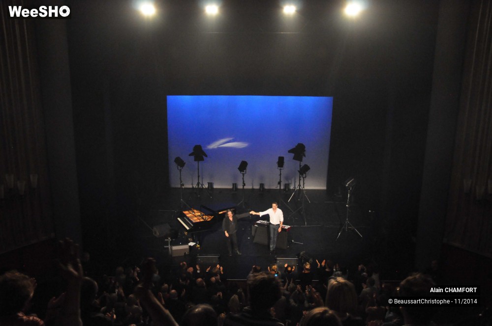 32/38 photos du spectacle Alain Chamfort