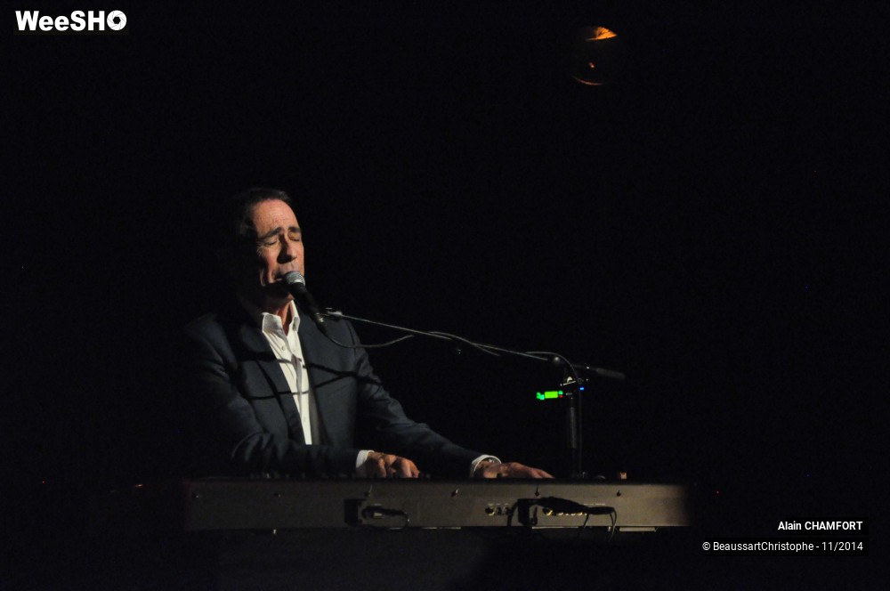 33/38 photos du spectacle Alain Chamfort