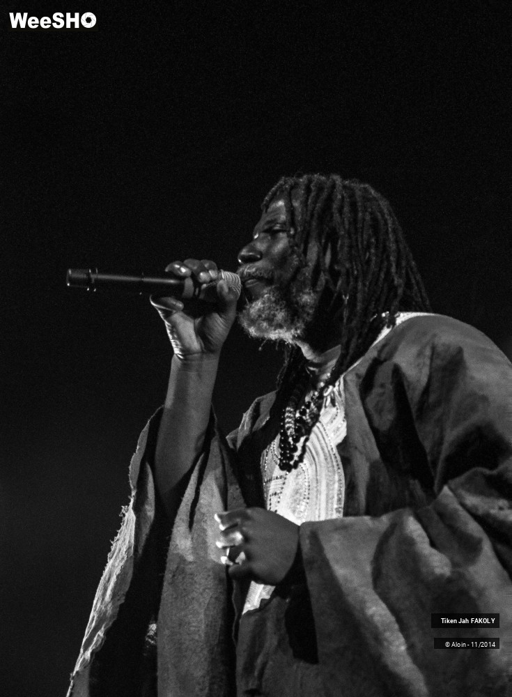 13/43 photos du spectacle Tiken jahFakoly
