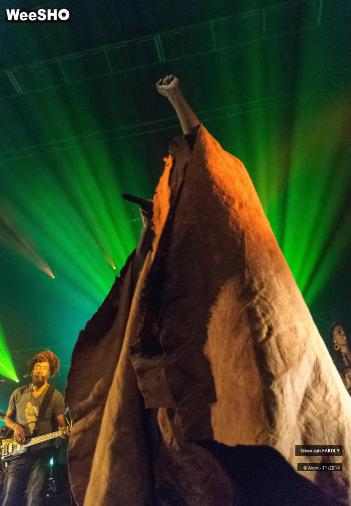 15/43 photos du spectacle Tiken jahFakoly
