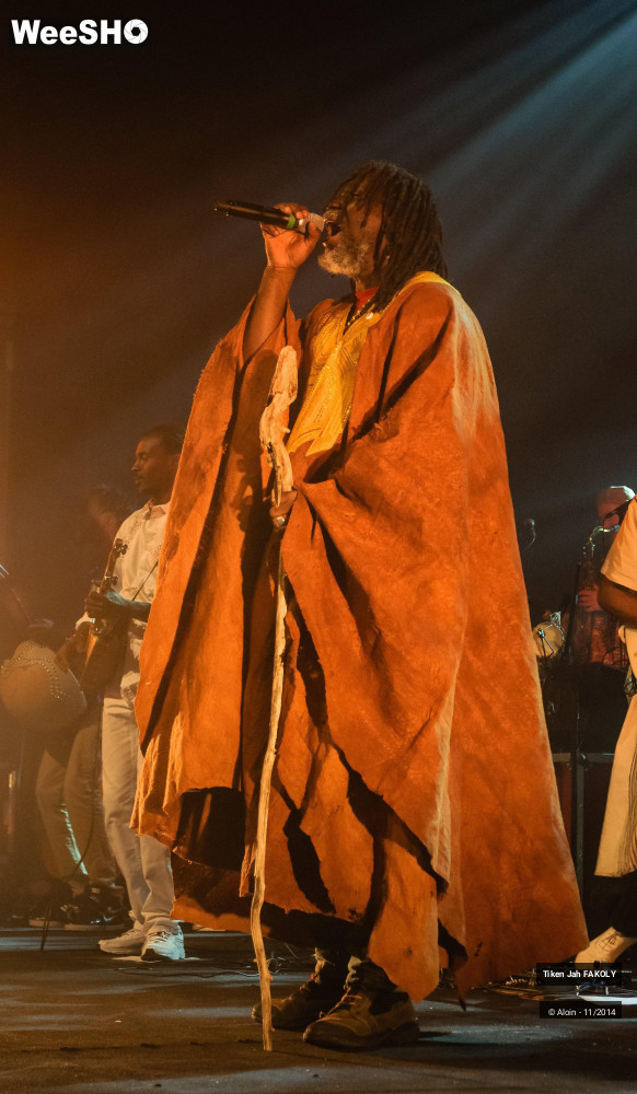 28/43 photos du spectacle Tiken jahFakoly