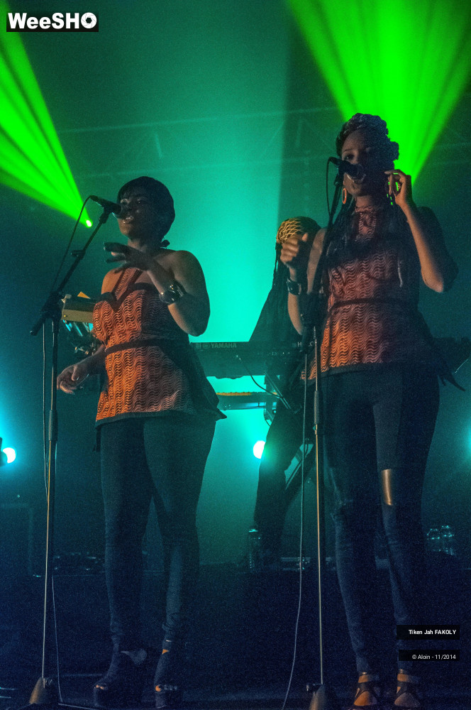 29/43 photos du spectacle Tiken jahFakoly