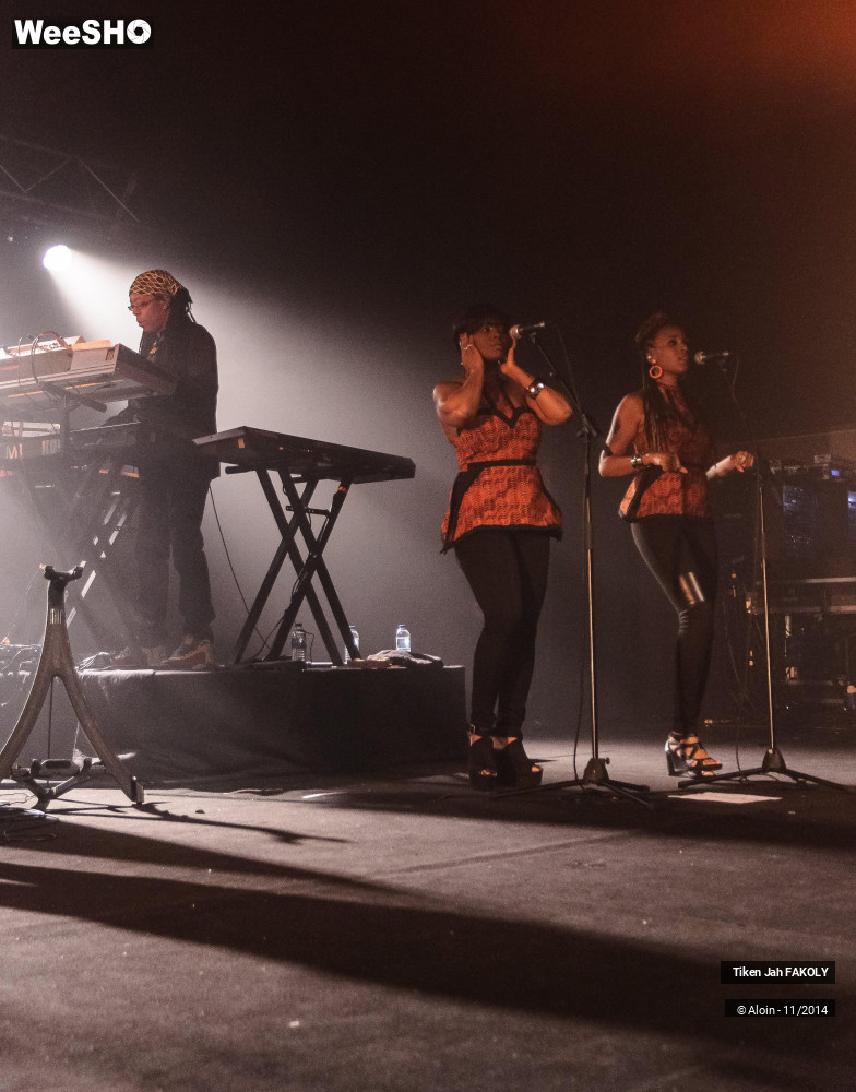 34/43 photos du spectacle Tiken jahFakoly
