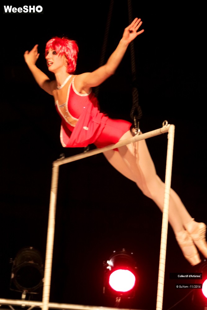 10/41 photos du spectacle Le bal des Vampires - 1ère partie