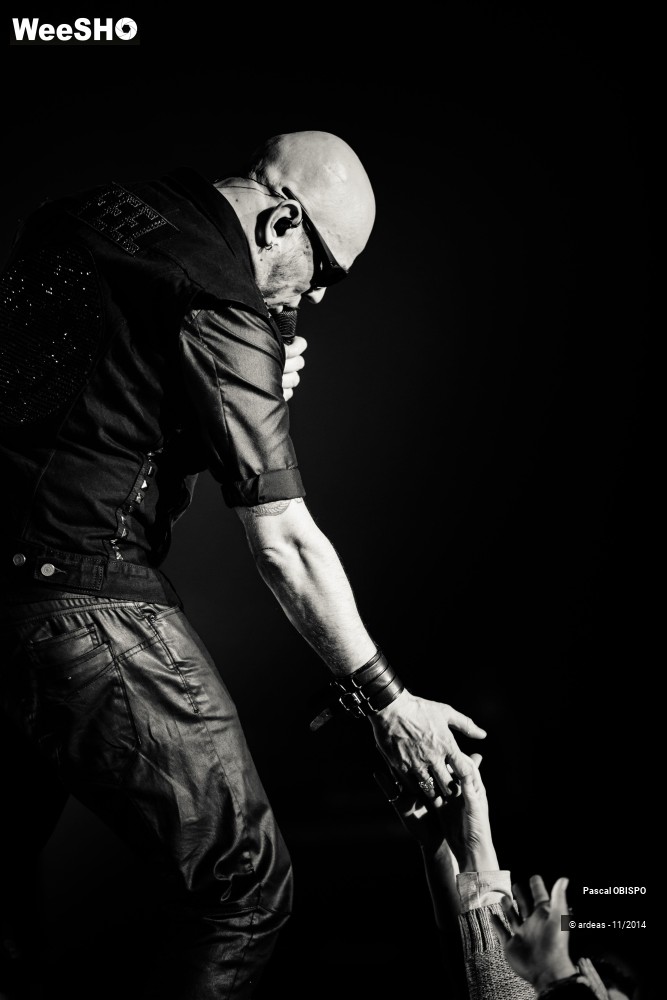 1/49 photos du spectacle Pascal Obispo
