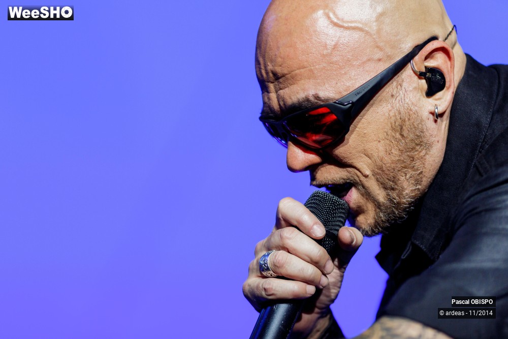 2/49 photos du spectacle Pascal Obispo