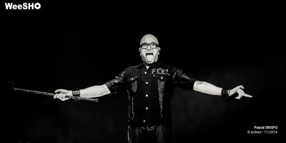 4/49 photos du spectacle Pascal Obispo