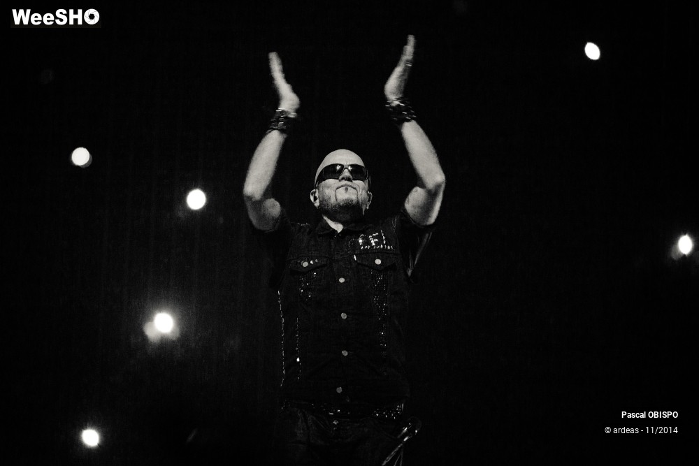 5/49 photos du spectacle Pascal Obispo