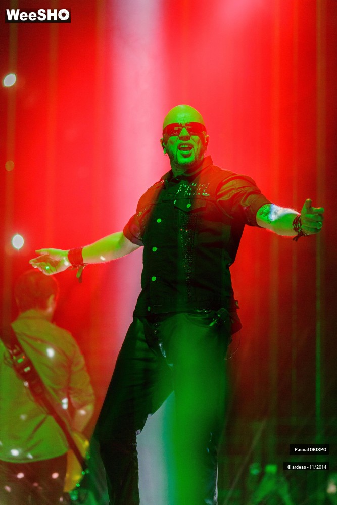 8/49 photos du spectacle Pascal Obispo