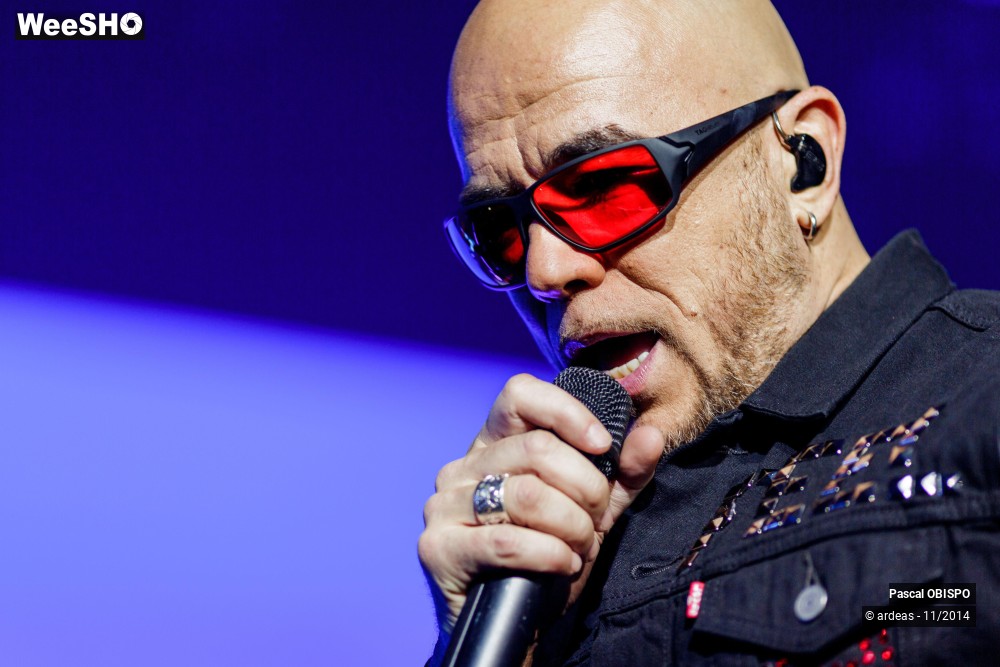 11/49 photos du spectacle Pascal Obispo