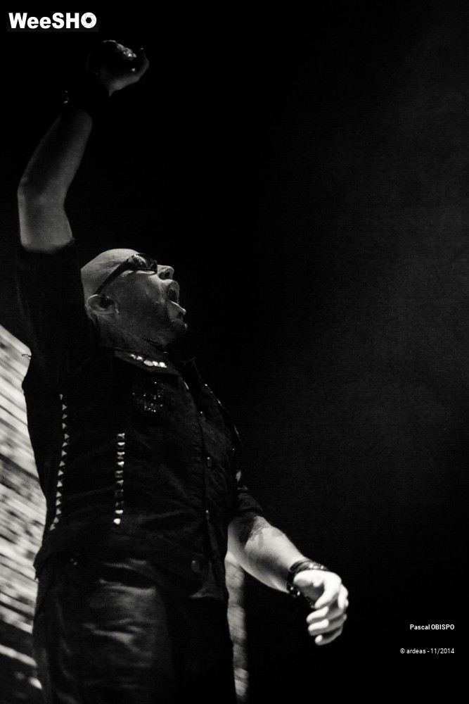 12/49 photos du spectacle Pascal Obispo