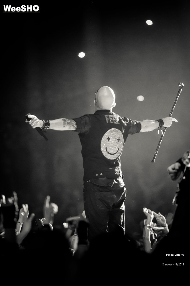 13/49 photos du spectacle Pascal Obispo