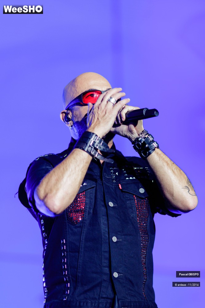14/49 photos du spectacle Pascal Obispo