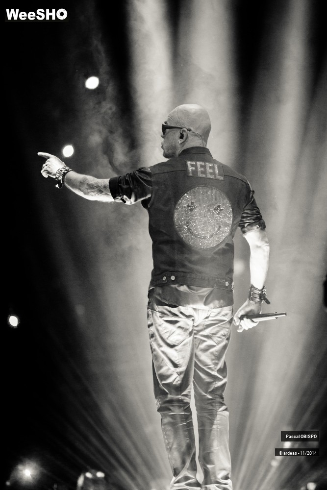 16/49 photos du spectacle Pascal Obispo