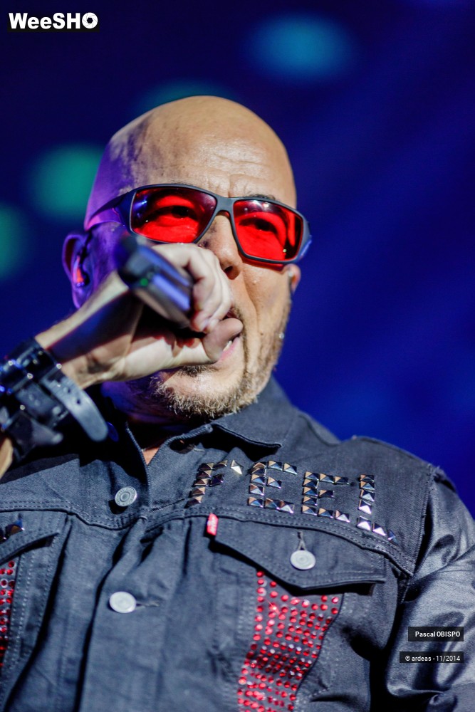 18/49 photos du spectacle Pascal Obispo