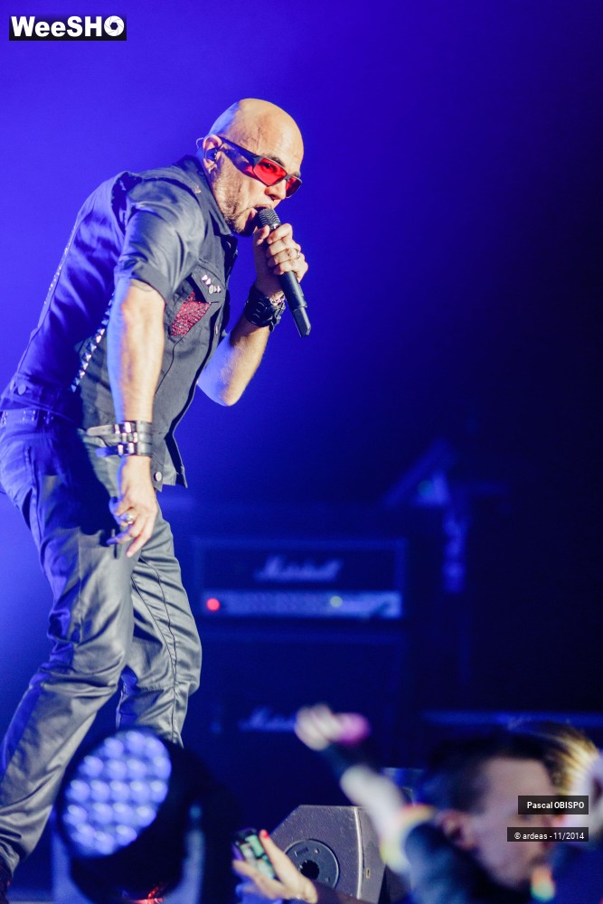22/49 photos du spectacle Pascal Obispo