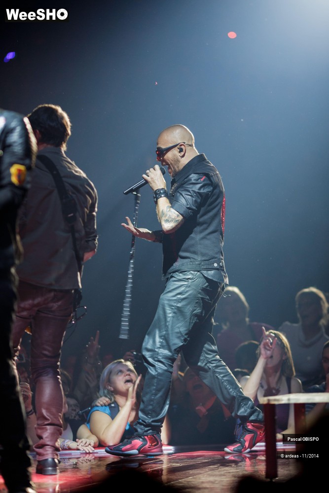 23/49 photos du spectacle Pascal Obispo