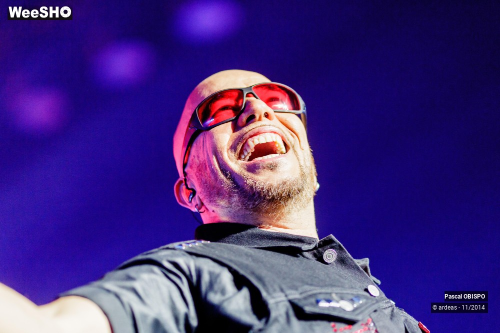 24/49 photos du spectacle Pascal Obispo