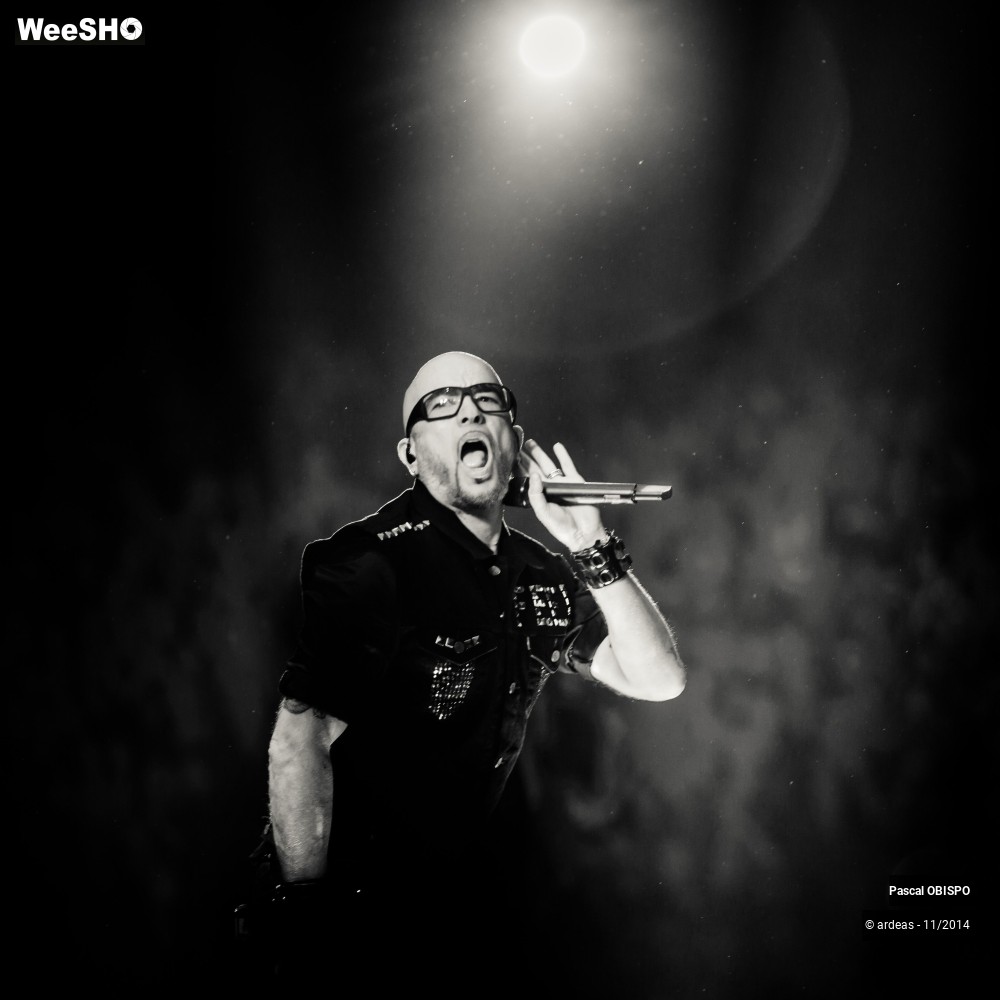 26/49 photos du spectacle Pascal Obispo