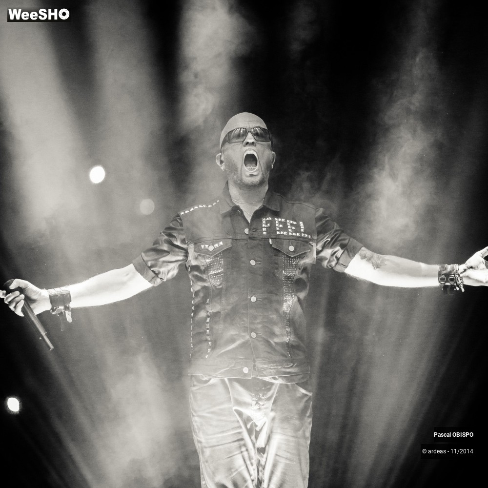 27/49 photos du spectacle Pascal Obispo