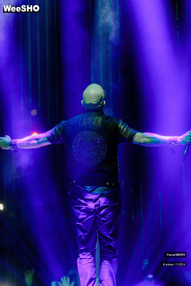 29/49 photos du spectacle Pascal Obispo