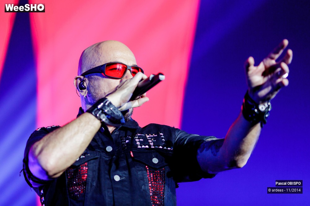 31/49 photos du spectacle Pascal Obispo