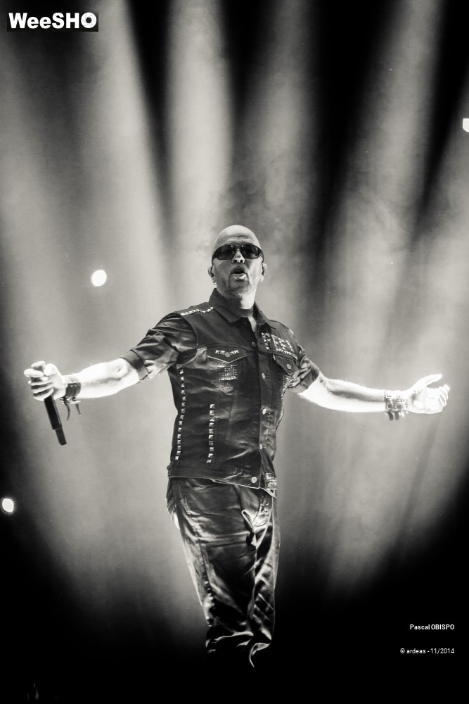 32/49 photos du spectacle Pascal Obispo