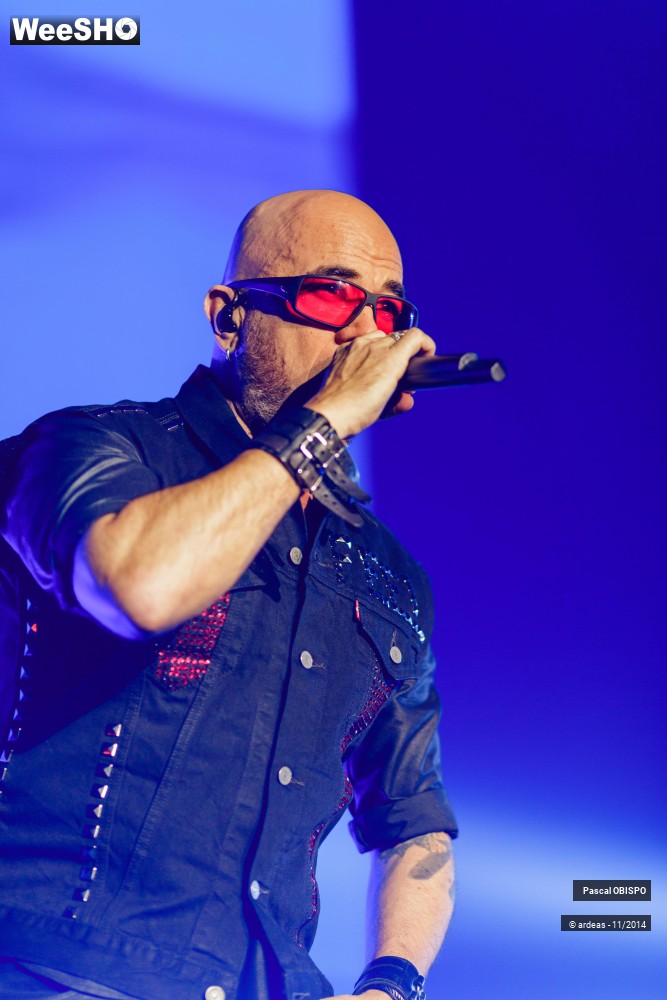 33/49 photos du spectacle Pascal Obispo