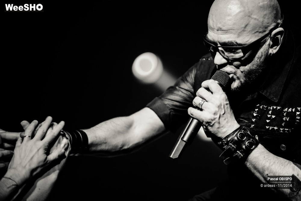 36/49 photos du spectacle Pascal Obispo