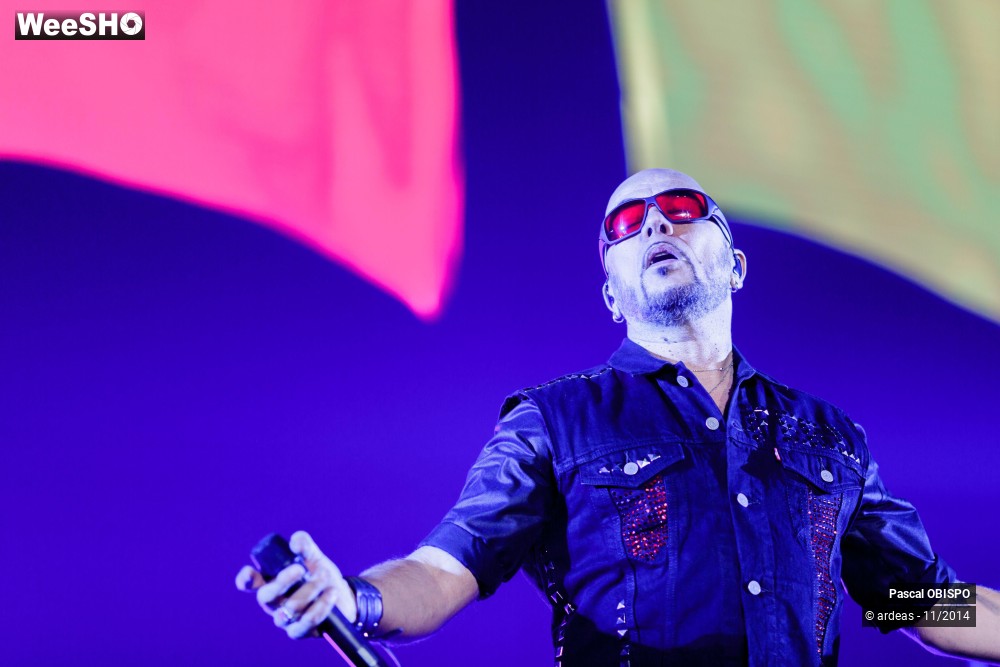 37/49 photos du spectacle Pascal Obispo