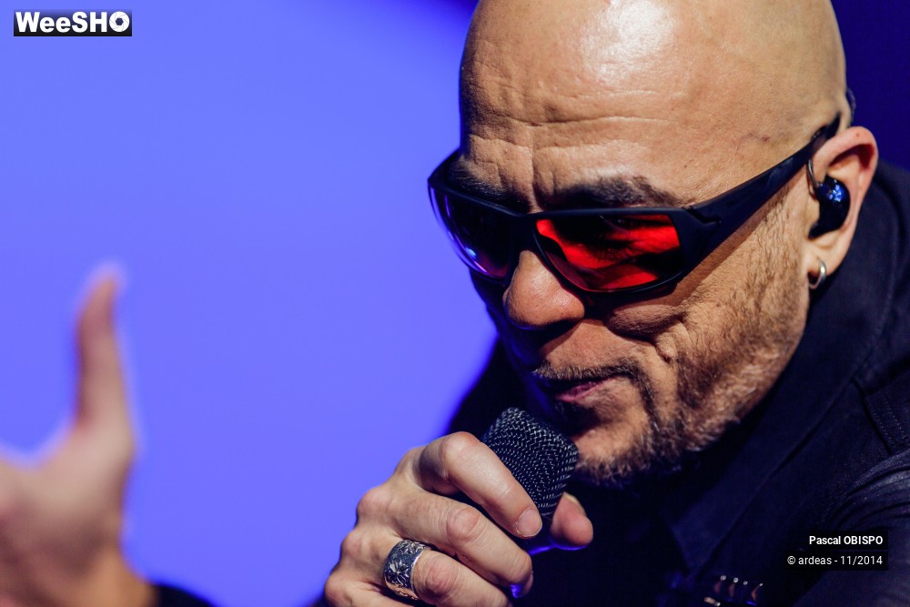 38/49 photos du spectacle Pascal Obispo