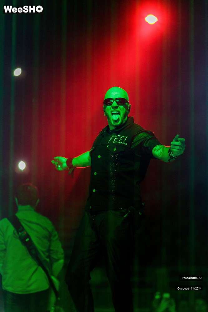 41/49 photos du spectacle Pascal Obispo