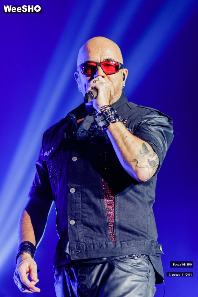 42/49 photos du spectacle Pascal Obispo