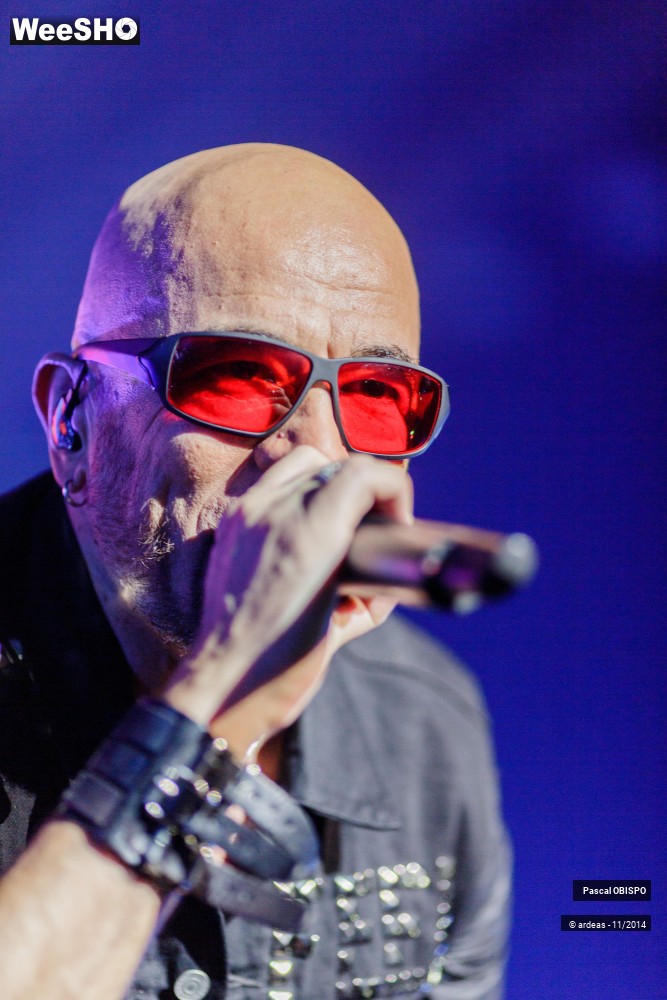 44/49 photos du spectacle Pascal Obispo