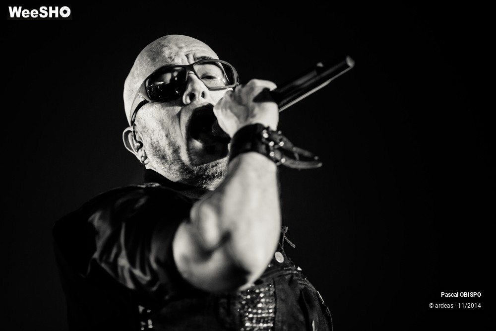 45/49 photos du spectacle Pascal Obispo