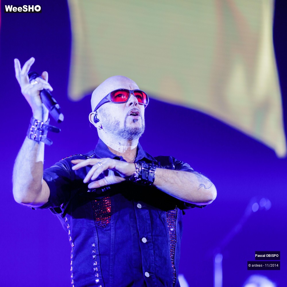46/49 photos du spectacle Pascal Obispo