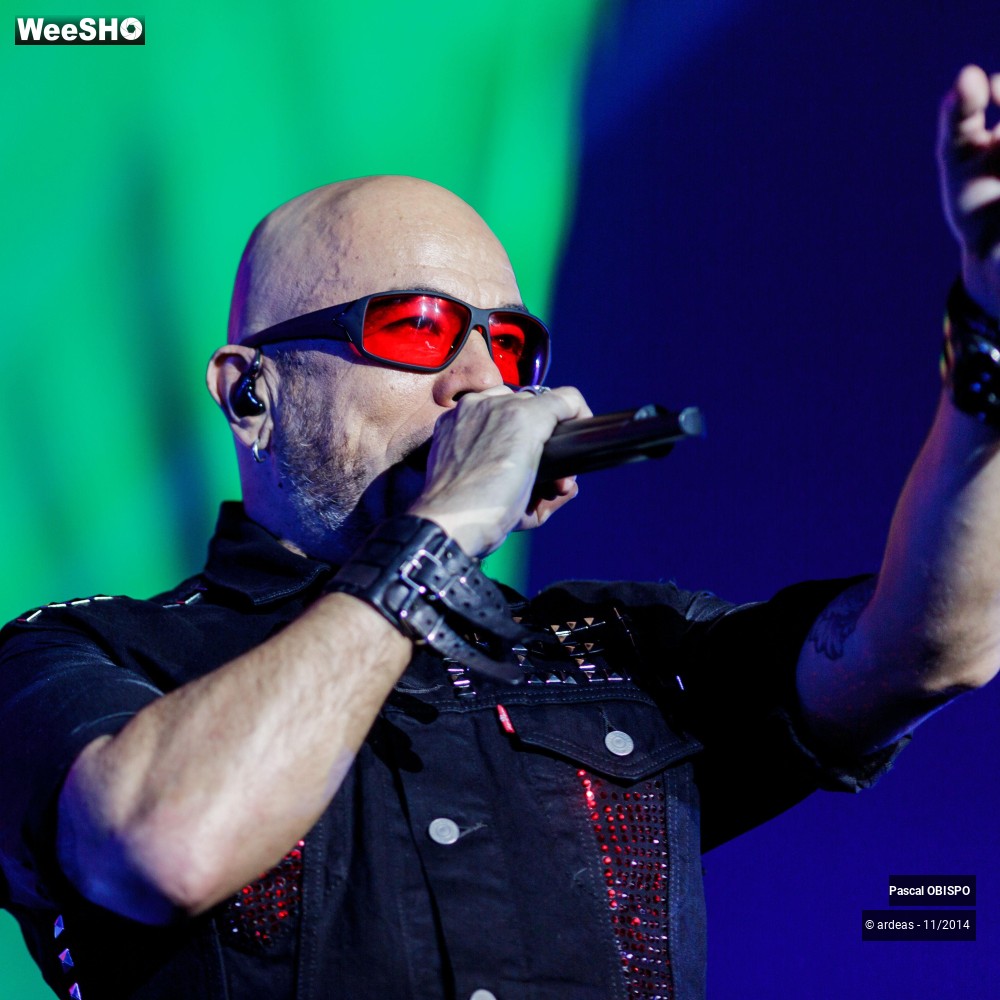 47/49 photos du spectacle Pascal Obispo